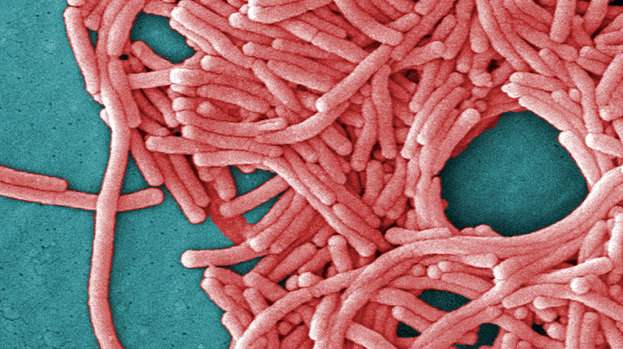 Legionnaires Risk Assessments